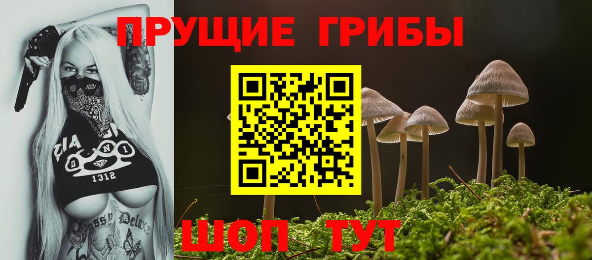 Псилоцибиновые грибы ЛСД  Вход с VPN  где можно купить наркотик  Новочебоксарск 
